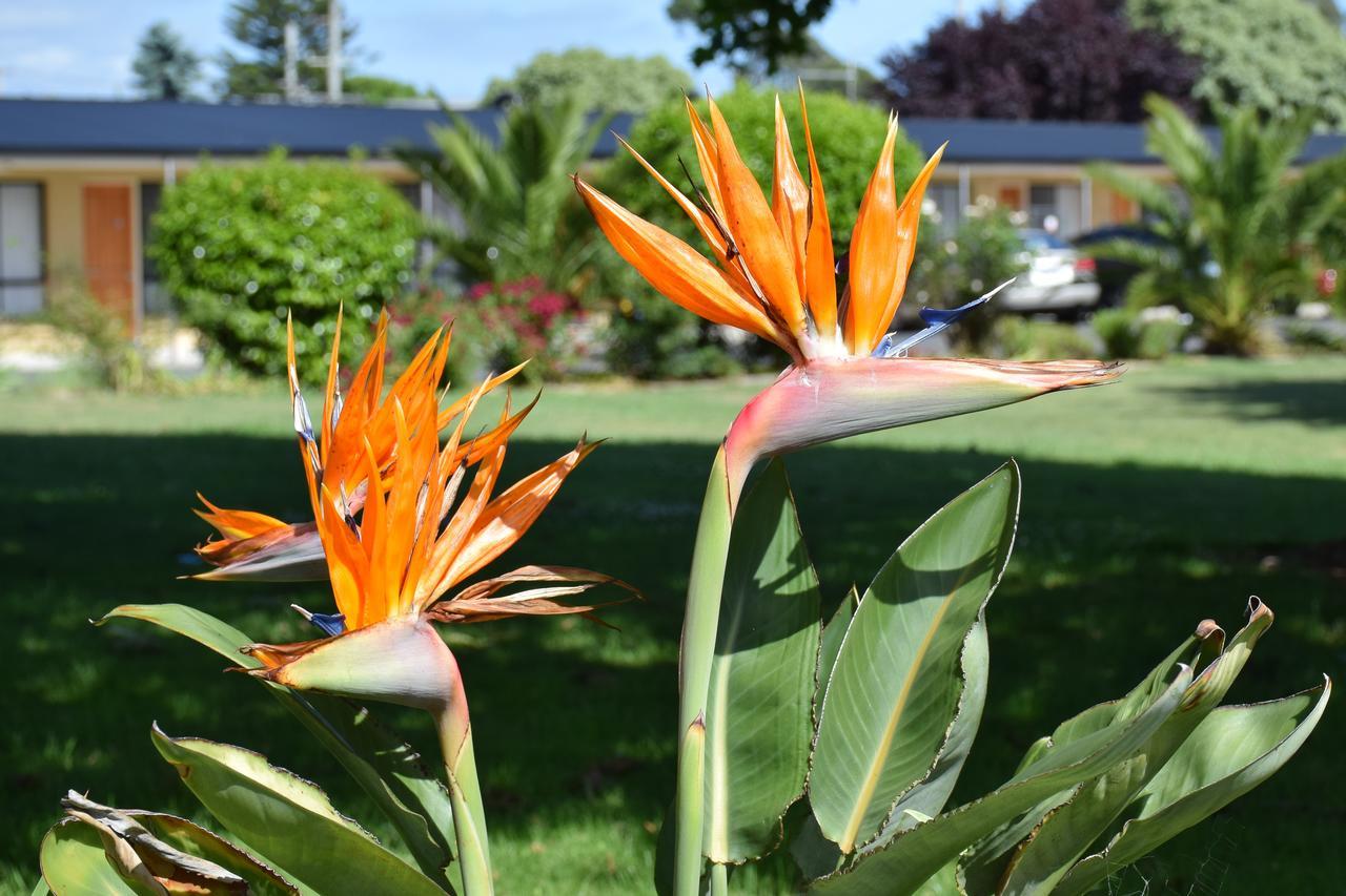 Beachway Motel Ulverstone Buitenkant foto
